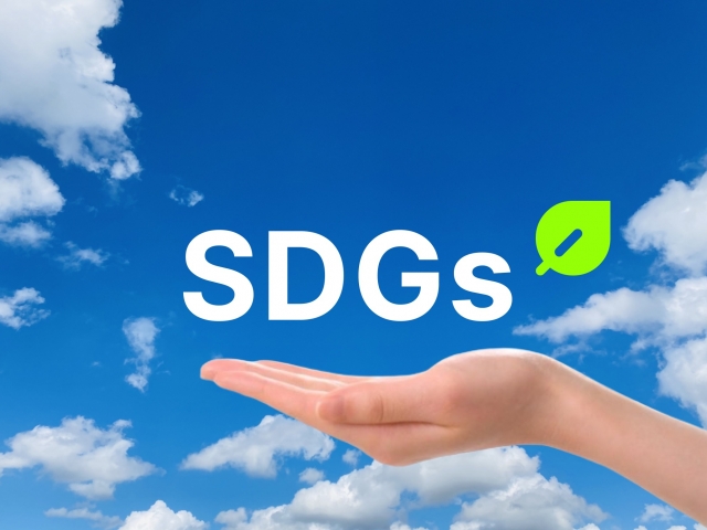 SDGS